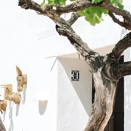 Legado Ibiza