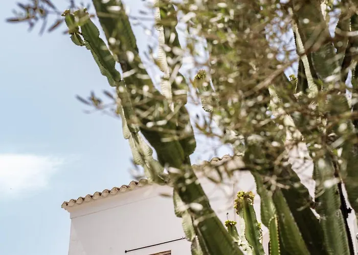 Legado Ibiza Santa Eularia des Riu